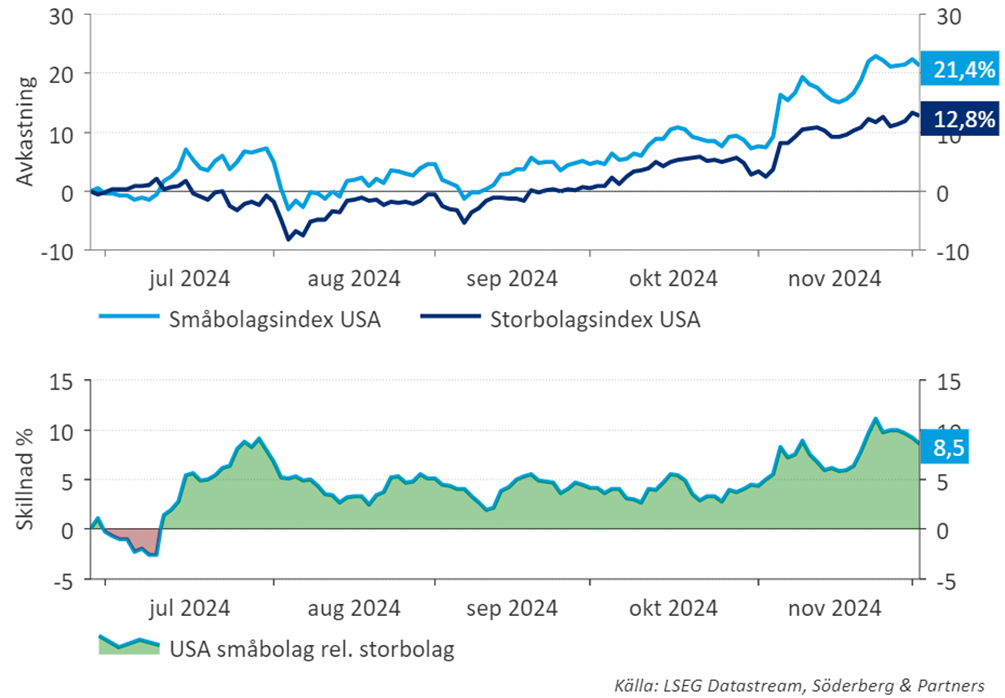 Amerikanska storbolag vs småbolag sedan 2024-06-27